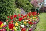 The Sun Shines on Swindon Town Gardens